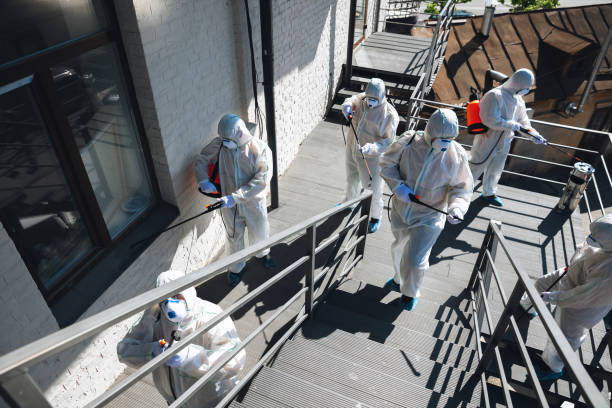 Best Comprehensive Air Testing for Mold Contaminants  in Utica, NY